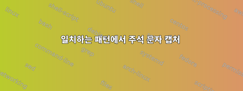 일치하는 패턴에서 주석 문자 캡처