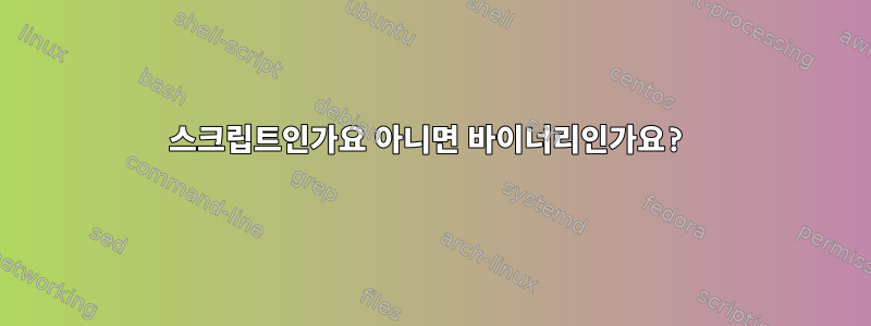 스크립트인가요 아니면 바이너리인가요?