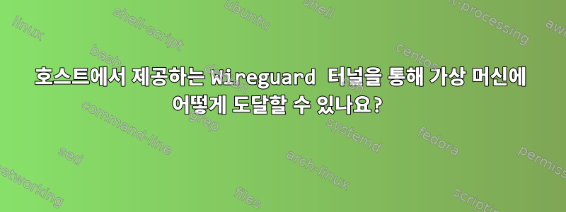 호스트에서 제공하는 Wireguard 터널을 통해 가상 머신에 어떻게 도달할 수 있나요?