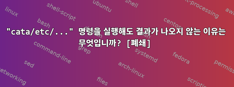 "cata/etc/..." 명령을 실행해도 결과가 나오지 않는 이유는 무엇입니까? [폐쇄]