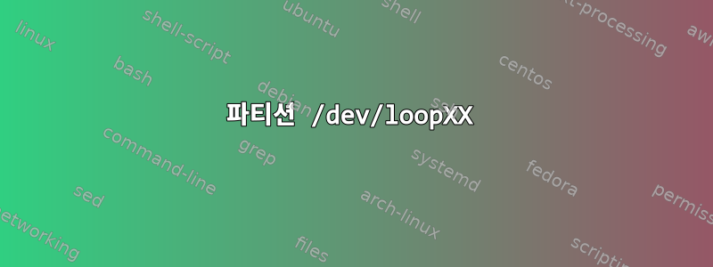 파티션 /dev/loopXX