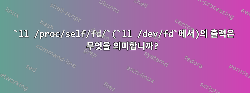 `ll /proc/self/fd/`(`ll /dev/fd`에서)의 출력은 무엇을 의미합니까?