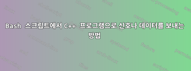 Bash 스크립트에서 C++ 프로그램으로 신호나 데이터를 보내는 방법