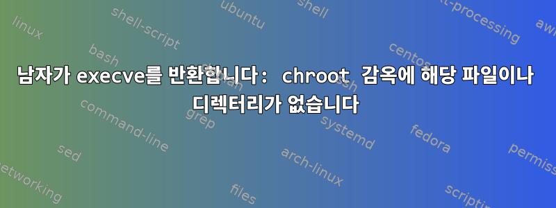 남자가 execve를 반환합니다: chroot 감옥에 해당 파일이나 디렉터리가 없습니다