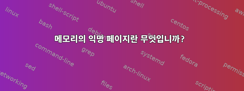 메모리의 익명 페이지란 무엇입니까?