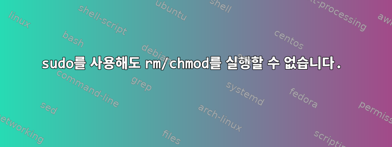 sudo를 사용해도 rm/chmod를 실행할 수 없습니다.