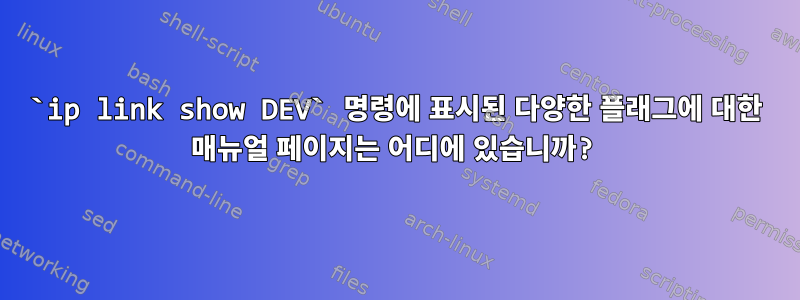 `ip link show DEV` 명령에 표시된 다양한 플래그에 대한 매뉴얼 페이지는 어디에 있습니까?