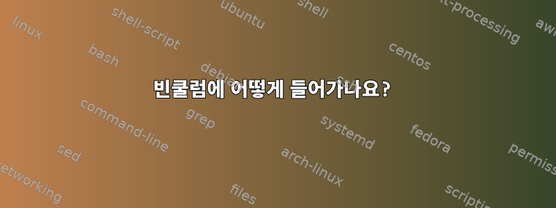 빈쿨럼에 어떻게 들어가나요?