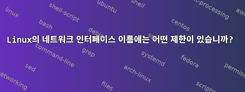 Linux의 네트워크 인터페이스 이름에는 어떤 제한이 있습니까?