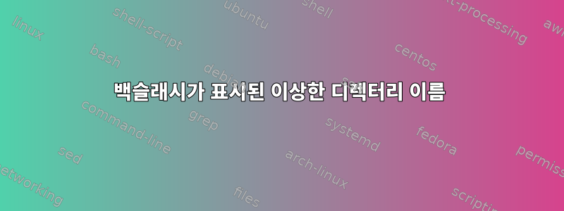 백슬래시가 표시된 이상한 디렉터리 이름