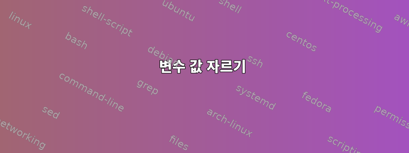 변수 값 자르기