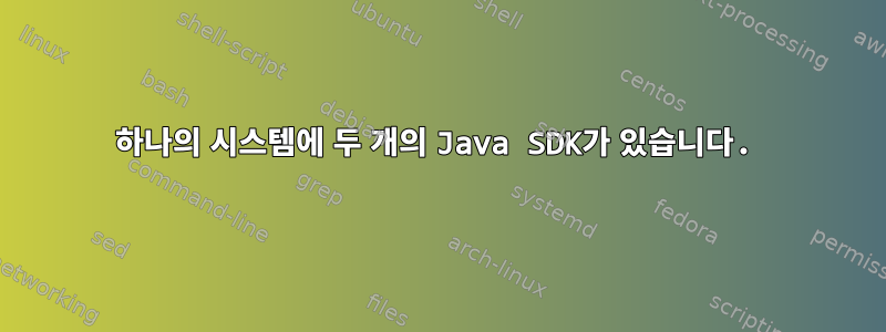 하나의 시스템에 두 개의 Java SDK가 있습니다.