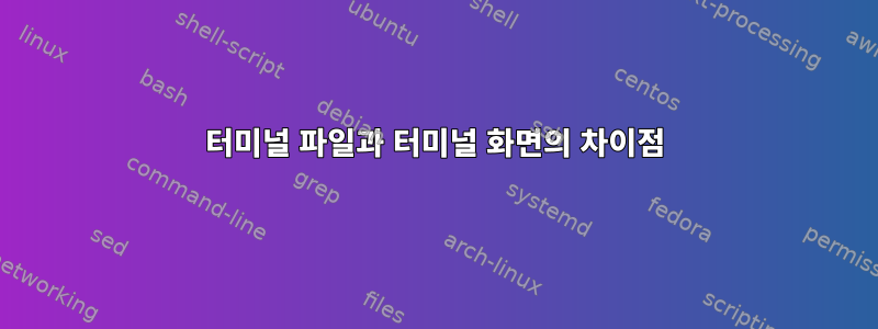 터미널 파일과 터미널 화면의 차이점