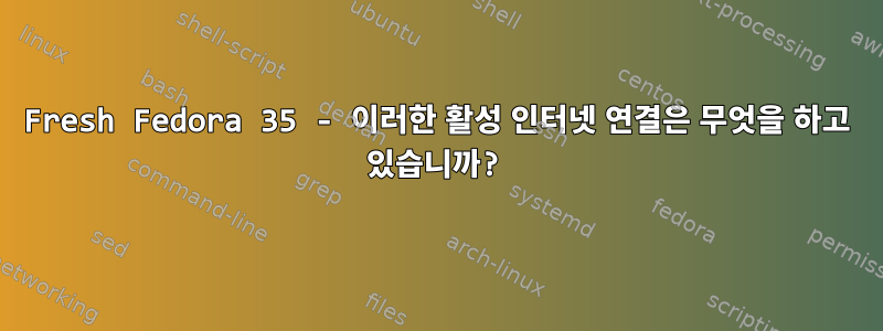 Fresh Fedora 35 - 이러한 활성 인터넷 연결은 무엇을 하고 있습니까?