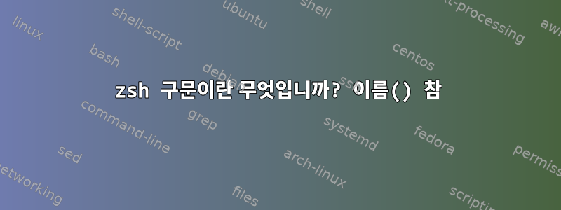 zsh 구문이란 무엇입니까? 이름() 참