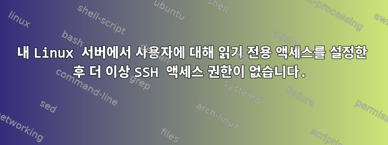 내 Linux 서버에서 사용자에 대해 읽기 전용 액세스를 설정한 후 더 이상 SSH 액세스 권한이 없습니다.