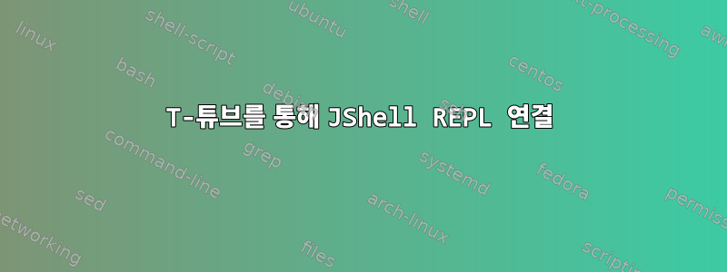 T-튜브를 통해 JShell REPL 연결