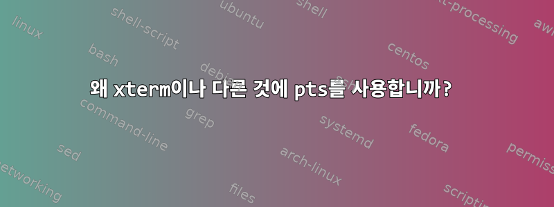 왜 xterm이나 다른 것에 pts를 사용합니까?