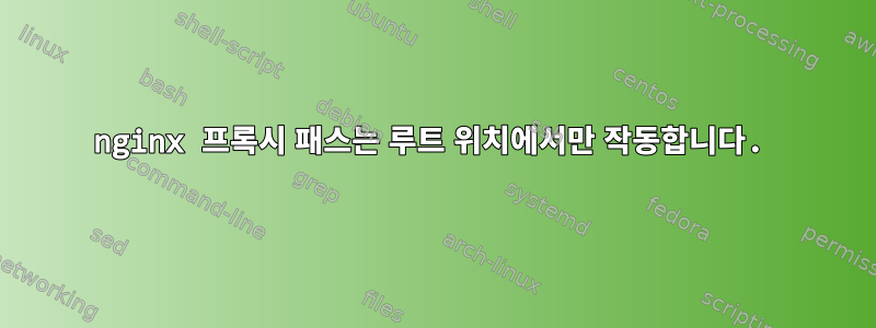 nginx 프록시 패스는 루트 위치에서만 작동합니다.