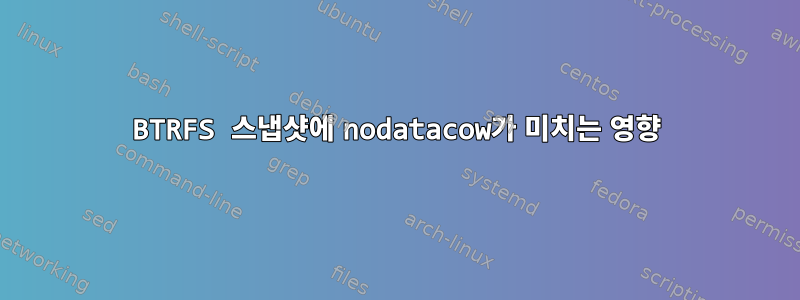 BTRFS 스냅샷에 nodatacow가 미치는 영향