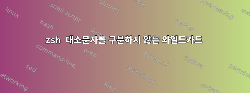 zsh 대소문자를 구분하지 않는 와일드카드