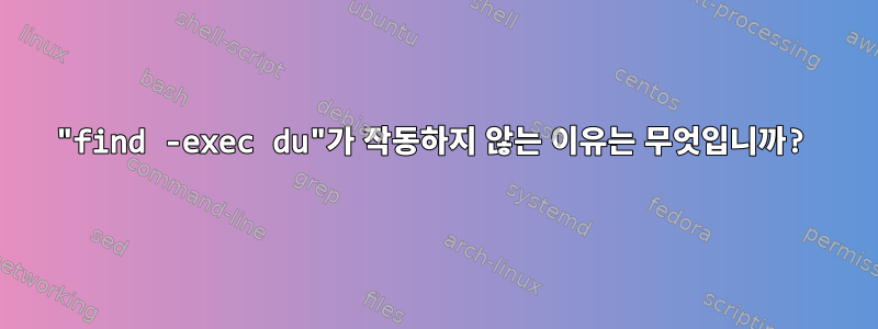 "find -exec du"가 작동하지 않는 이유는 무엇입니까?