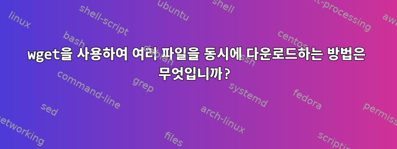 wget을 사용하여 여러 파일을 동시에 다운로드하는 방법은 무엇입니까?