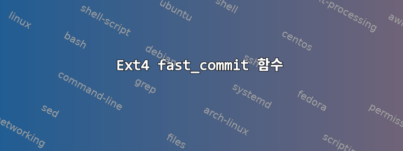 Ext4 fast_commit 함수