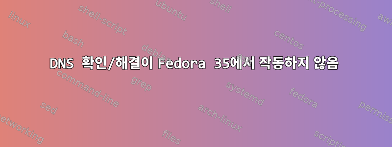 DNS 확인/해결이 Fedora 35에서 작동하지 않음