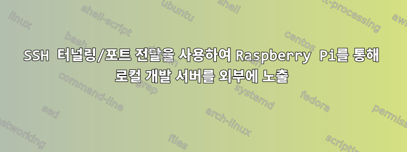 SSH 터널링/포트 전달을 사용하여 Raspberry Pi를 통해 로컬 개발 서버를 외부에 노출