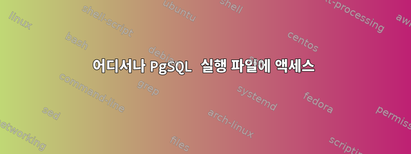 어디서나 PgSQL 실행 파일에 액세스