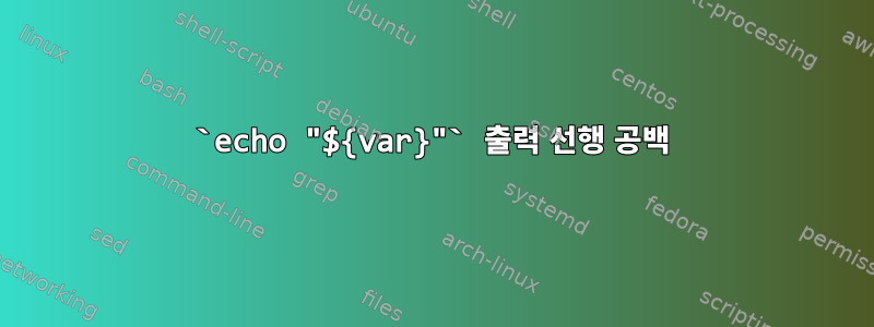 `echo "${var}"` 출력 선행 공백