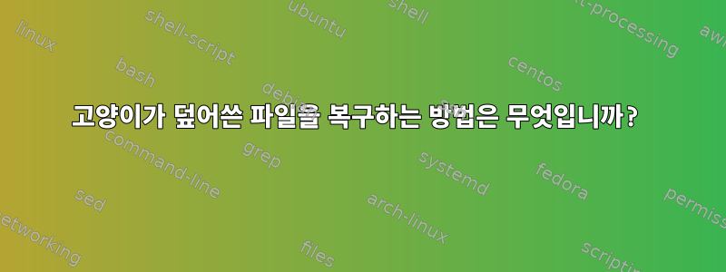 고양이가 덮어쓴 파일을 복구하는 방법은 무엇입니까?