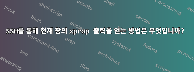 SSH를 통해 현재 창의 xprop 출력을 얻는 방법은 무엇입니까?