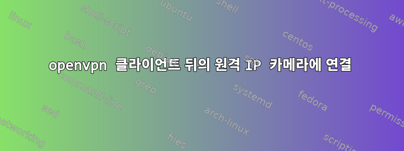 openvpn 클라이언트 뒤의 원격 IP 카메라에 연결