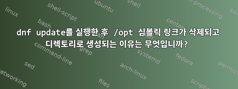 dnf update를 실행한 후 /opt 심볼릭 링크가 삭제되고 디렉토리로 생성되는 이유는 무엇입니까?