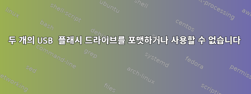 두 개의 USB 플래시 드라이브를 포맷하거나 사용할 수 없습니다