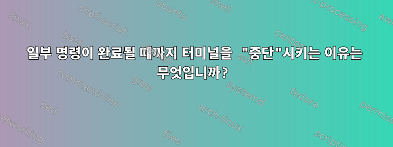 일부 명령이 완료될 때까지 터미널을 "중단"시키는 이유는 무엇입니까?