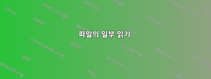 파일의 일부 읽기