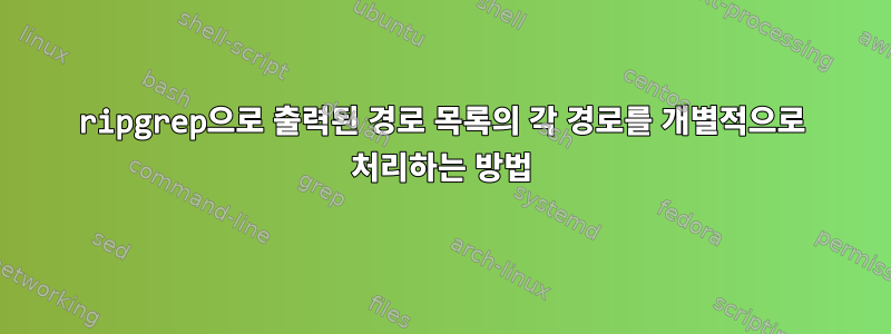 ripgrep으로 출력된 경로 목록의 각 경로를 개별적으로 처리하는 방법