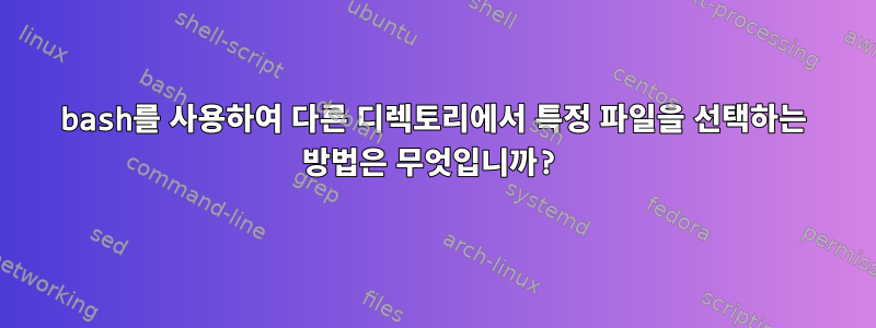 bash를 사용하여 다른 디렉토리에서 특정 파일을 선택하는 방법은 무엇입니까?