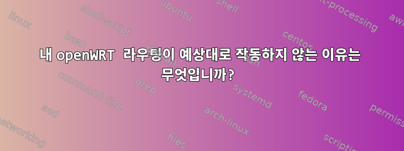 내 openWRT 라우팅이 예상대로 작동하지 않는 이유는 무엇입니까?