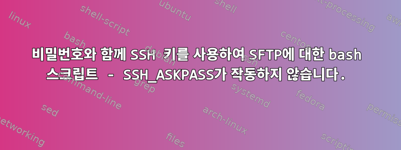 비밀번호와 함께 SSH 키를 사용하여 SFTP에 대한 bash 스크립트 - SSH_ASKPASS가 작동하지 않습니다.