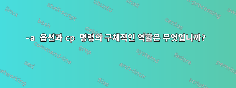 -a 옵션과 cp 명령의 구체적인 역할은 무엇입니까?