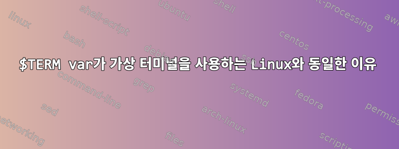 $TERM var가 가상 터미널을 사용하는 Linux와 동일한 이유