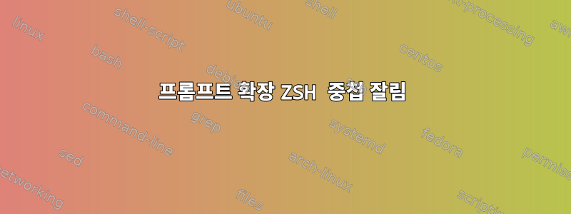 프롬프트 확장 ZSH 중첩 잘림