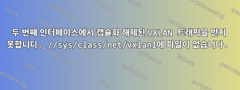 두 번째 인터페이스에서 캡슐화 해제된 VXLAN 트래픽을 받지 못합니다. //sys/class/net/vxlan1에 파일이 없습니다.