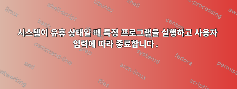 시스템이 유휴 상태일 때 특정 프로그램을 실행하고 사용자 입력에 따라 종료합니다.