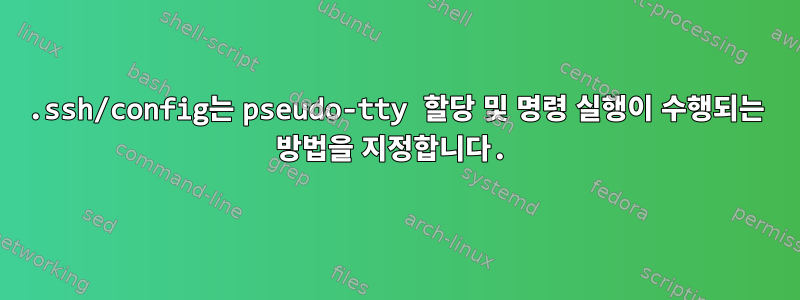 .ssh/config는 pseudo-tty 할당 및 명령 실행이 수행되는 방법을 지정합니다.