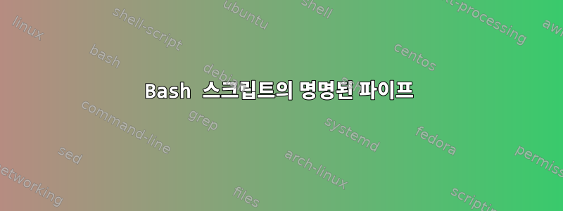 Bash 스크립트의 명명된 파이프